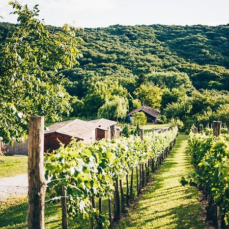 Bed and Breakfast Dutch Hill Zalacsány Esterno foto