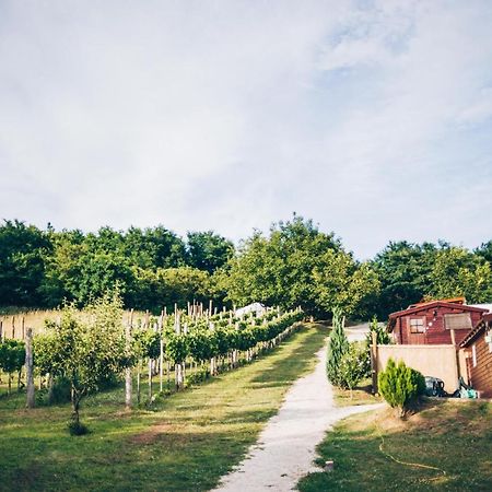 Bed and Breakfast Dutch Hill Zalacsány Esterno foto